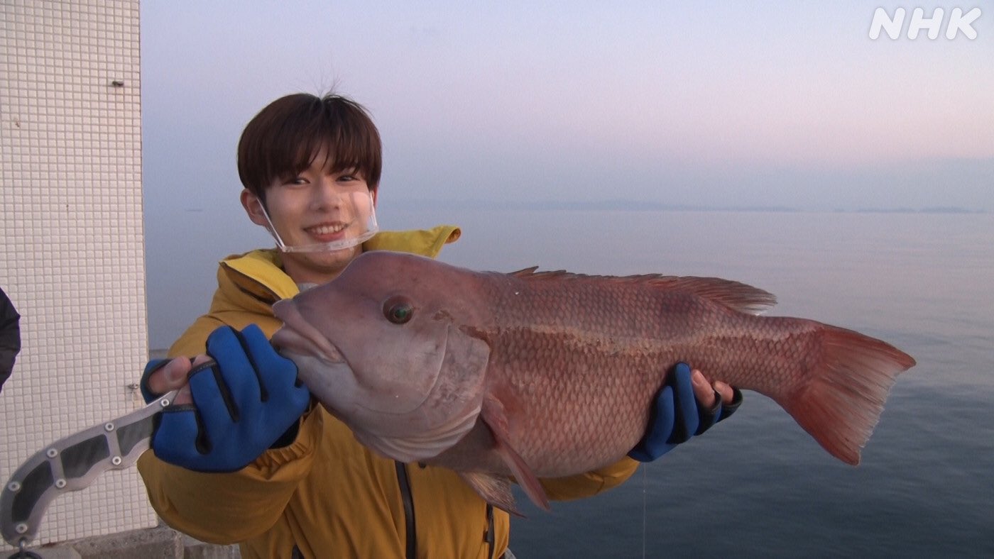 本日放送 巨大魚 幻の魚を追え 大阪湾の魚大調査 なにわ男子 長尾謙杜さんと怪魚ハント マクロベース株式会社 公式hp